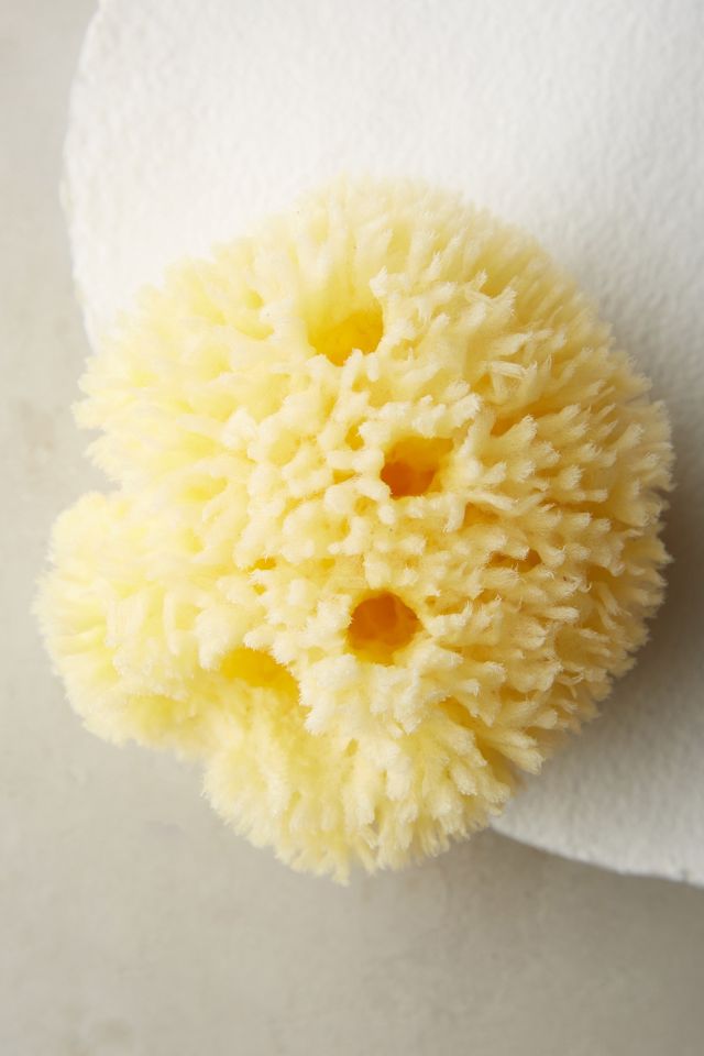 Baudelaire Large Sea Bath Sponge