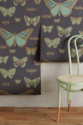 Cole & Son Lepidoptera Wallpaper Butterflies & Dragonflies Wallpaper