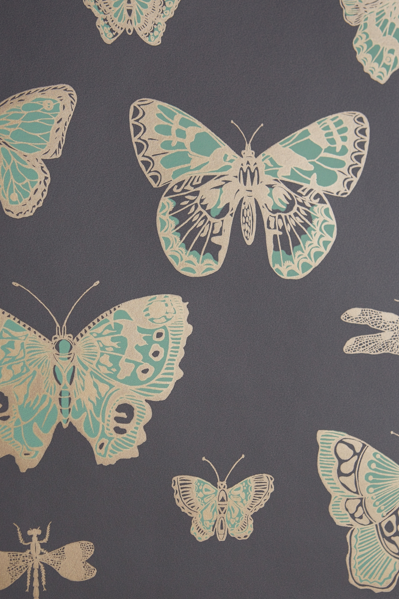 Cole & Son Lepidoptera Wallpaper