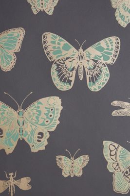 Cole & Son Lepidoptera Wallpaper Butterflies & Dragonflies Wallpaper