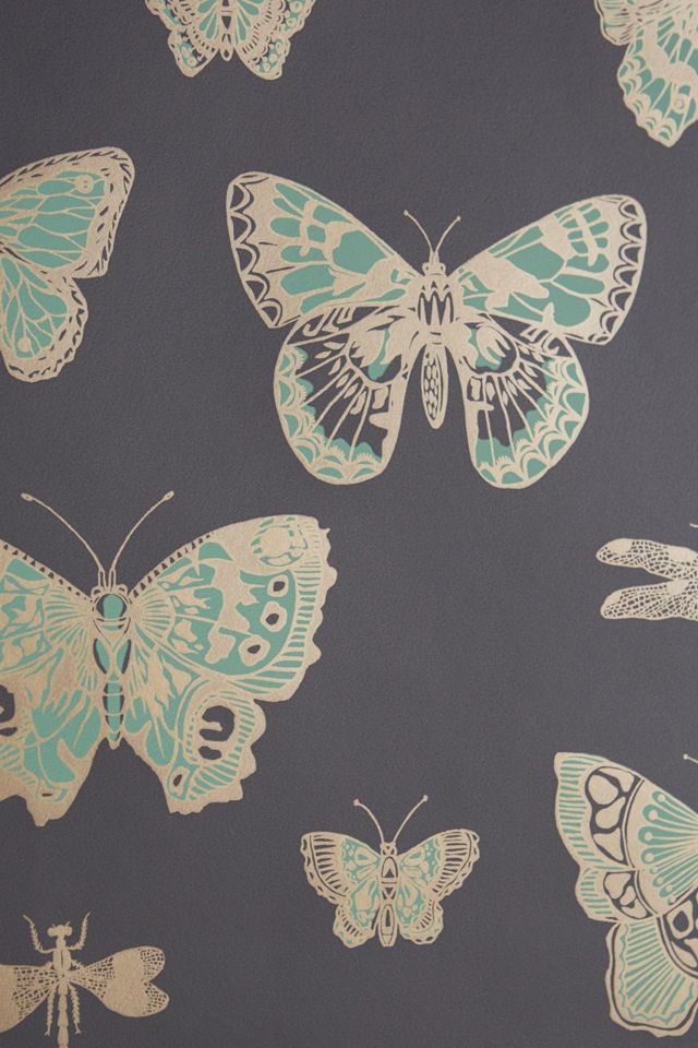 Cole & Son Lepidoptera Wallpaper Butterflies & Dragonflies Wallpaper #2