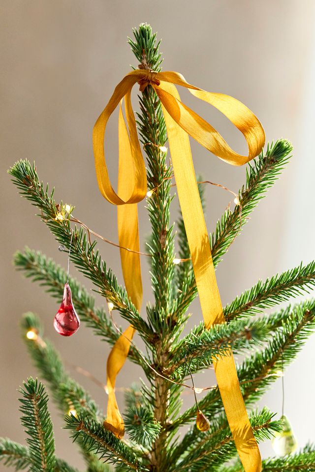 Little Living Tree #2