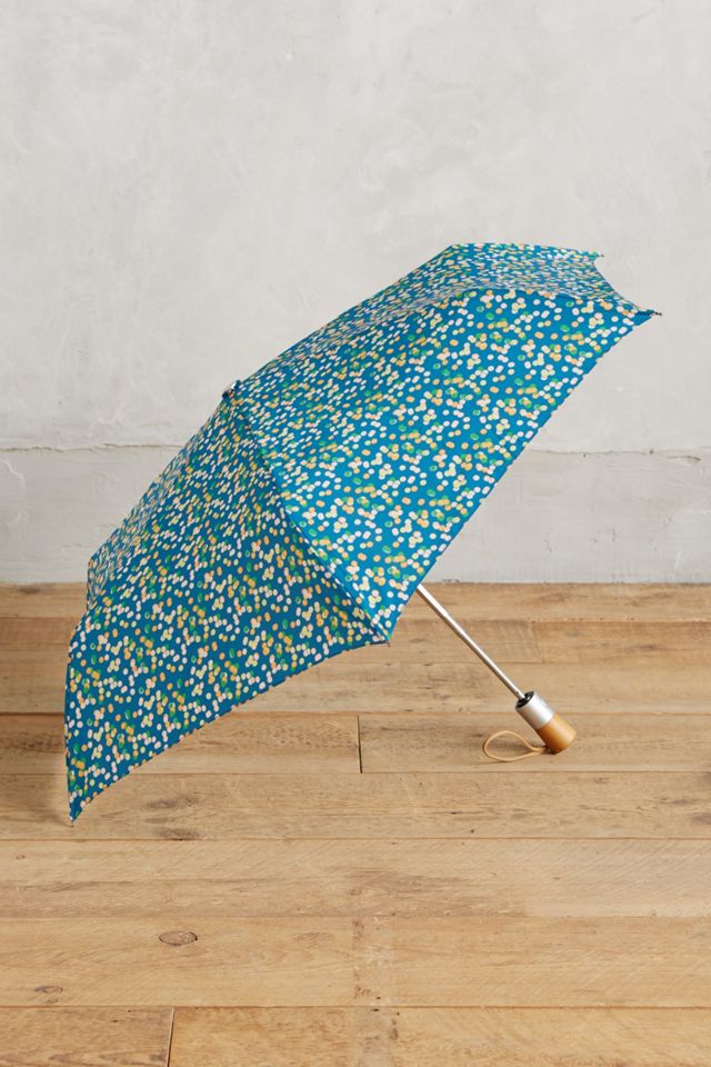 Selby Umbrella #1