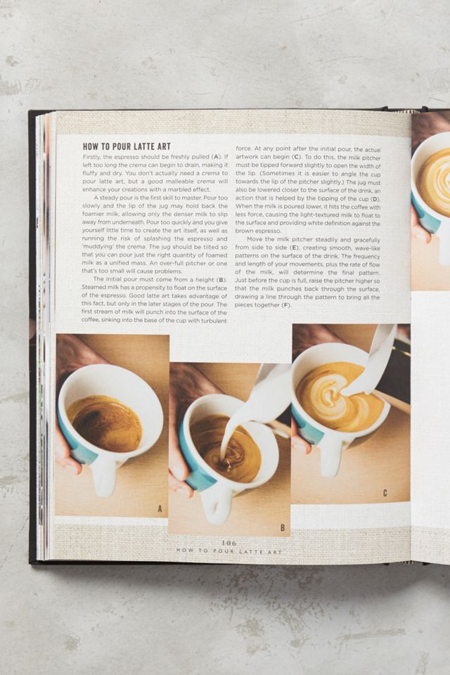 The Curious Barista's Guide To Coffee #3