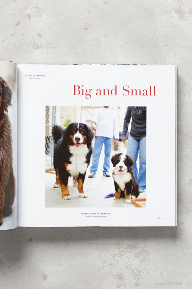 The Dogist #1