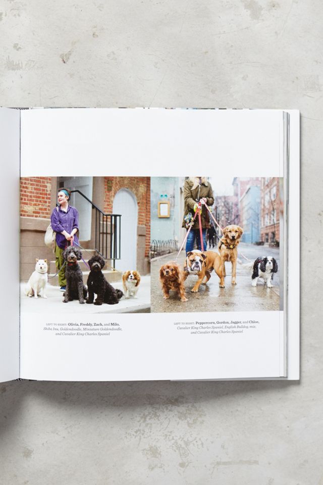 The Dogist #2