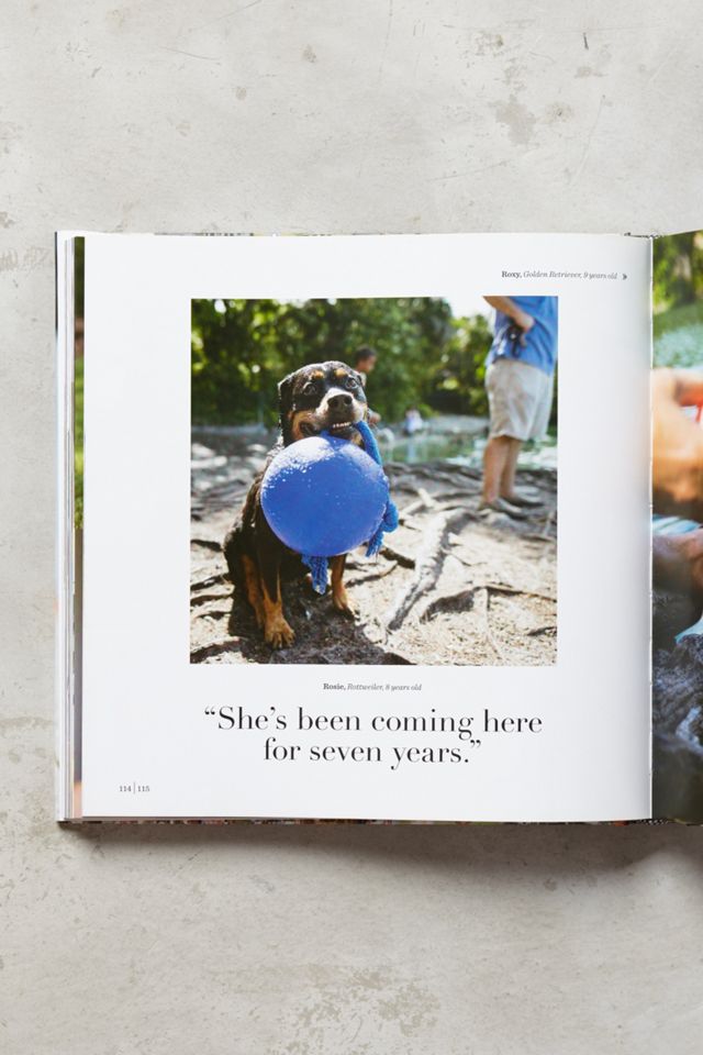 The Dogist #3