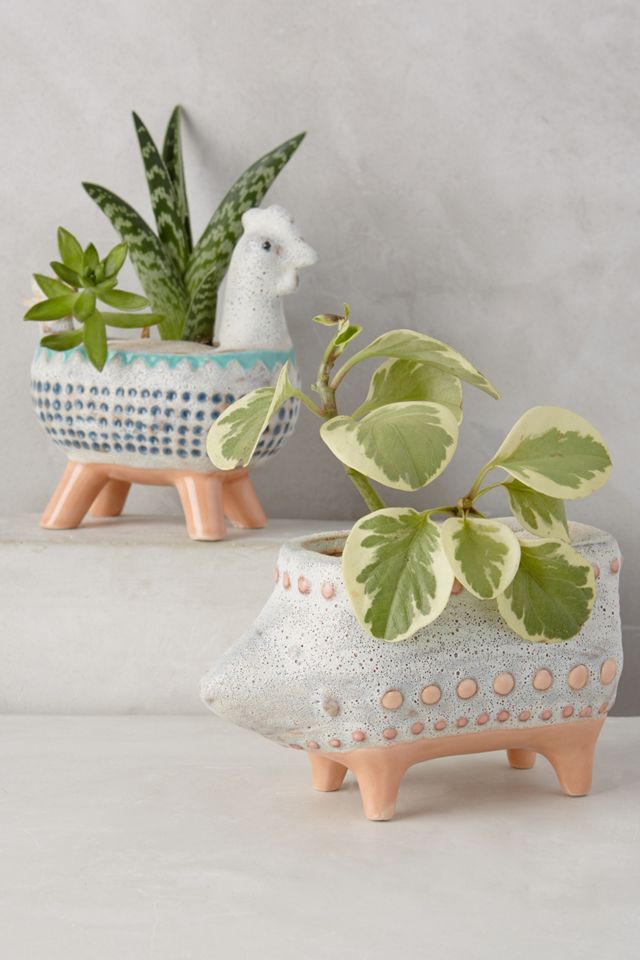 Charming Critter Planter #1