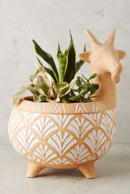 Billy Goat Planter
