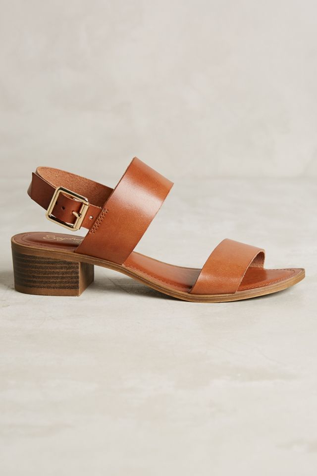 Seychelles Cassiopeia Sandals #2