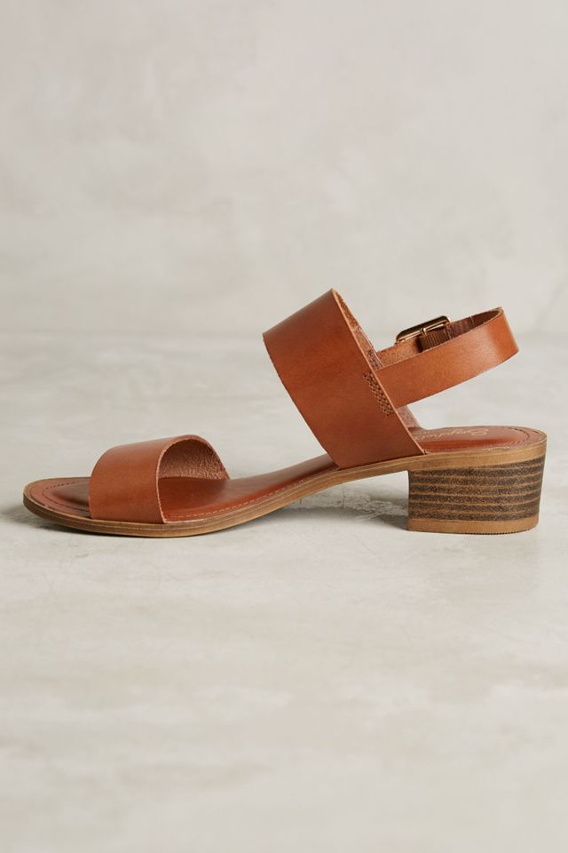 Seychelles Cassiopeia Sandals #3