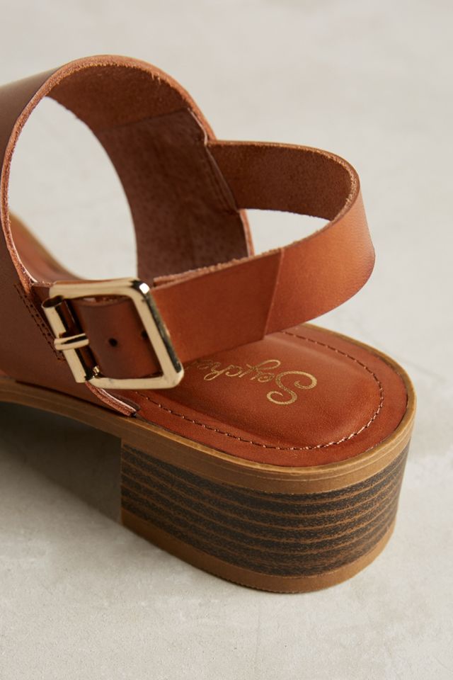 Seychelles Cassiopeia Sandals #5