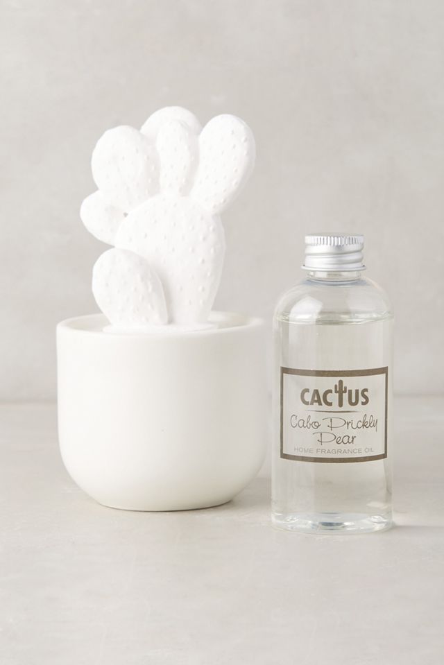 Cactus Porcelain Diffuser