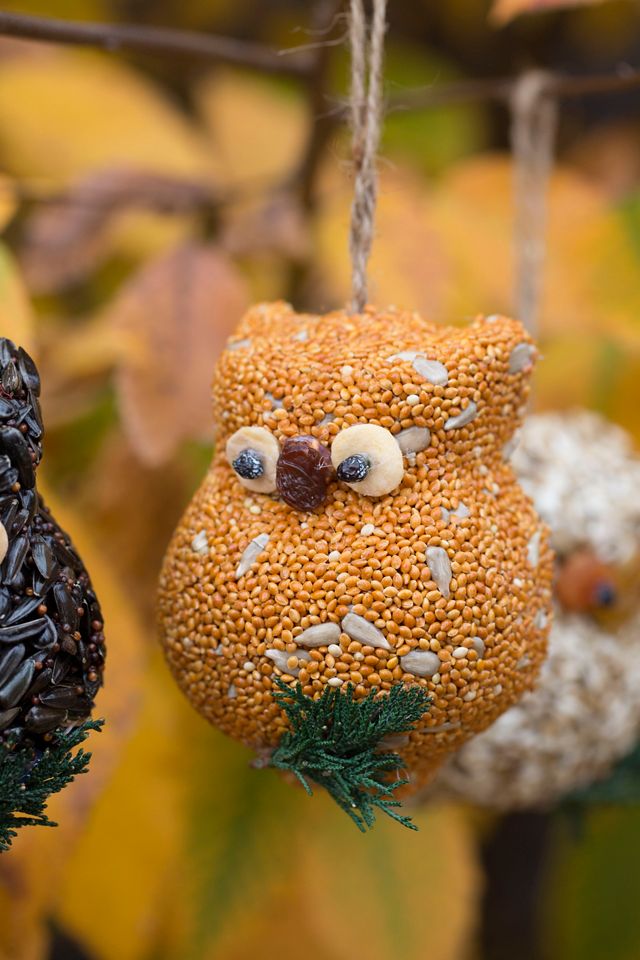Bird Seed Owls, Set of 3 #2