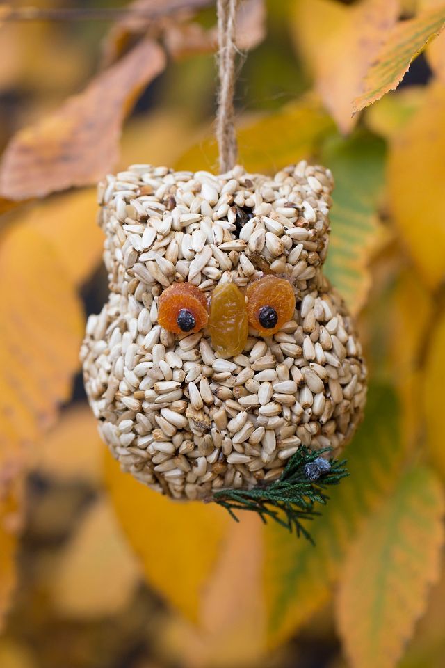 Bird Seed Owls, Set of 3 | AnthroLiving