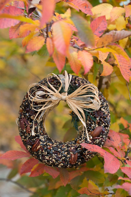 Terrain Seed Pecan Wreath In Multi