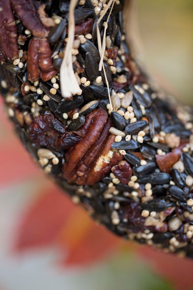 Edible Seed & Pecan Wreath #1