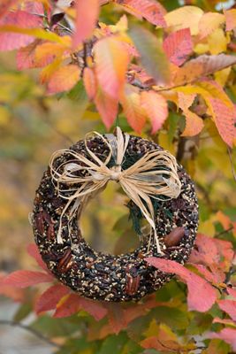 Edible Seed & Pecan Wreath