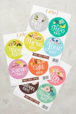 Baby's First Year Stickers