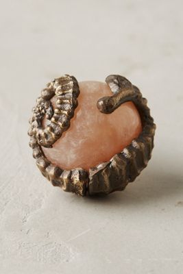Aquatic Wonders Knob