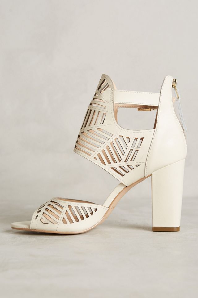 Jordana Shooties #2