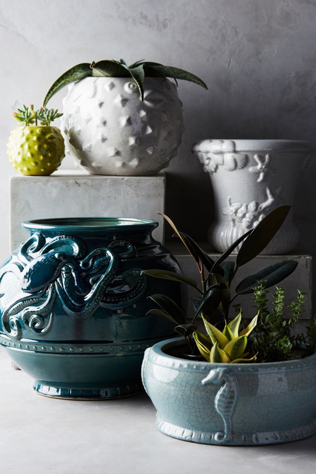 Sea Swimmer Pot #3