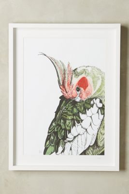 Cockatoo Wall Art