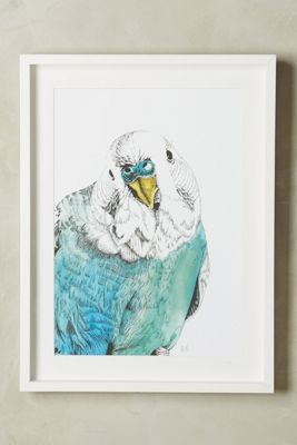 Cockatoo Wall Art