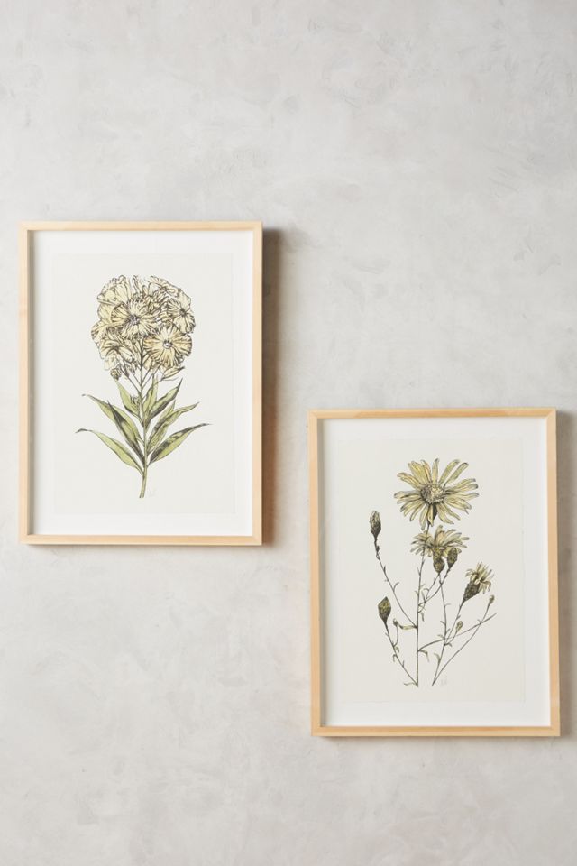 Goldenrod Wall Art #1