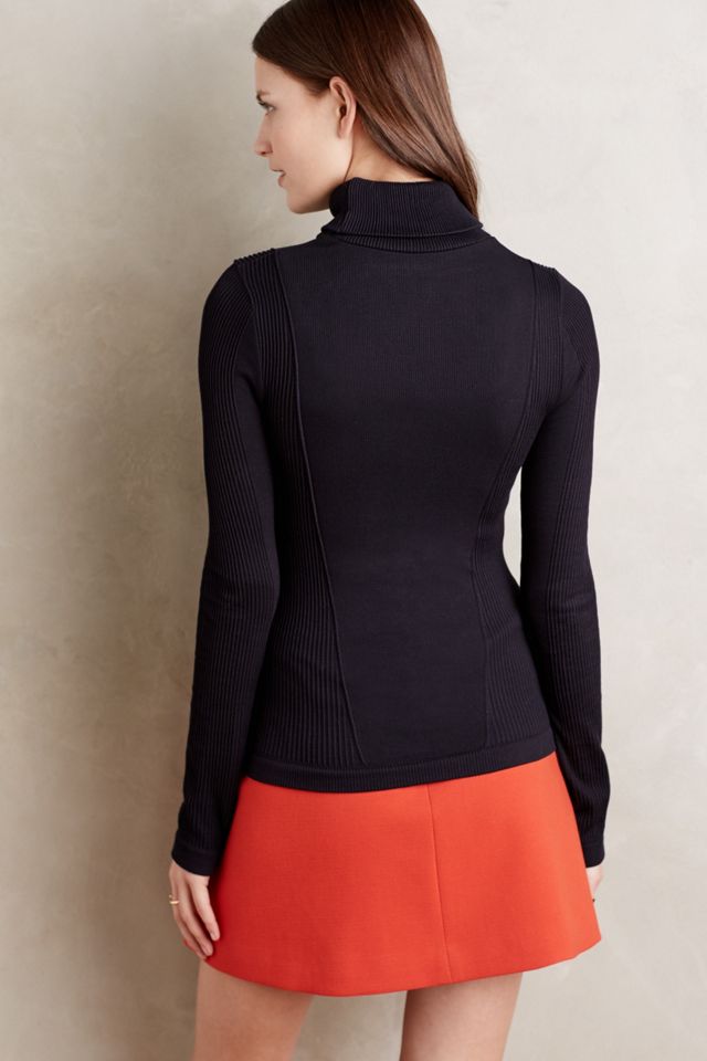Ribbed Turtleneck #1