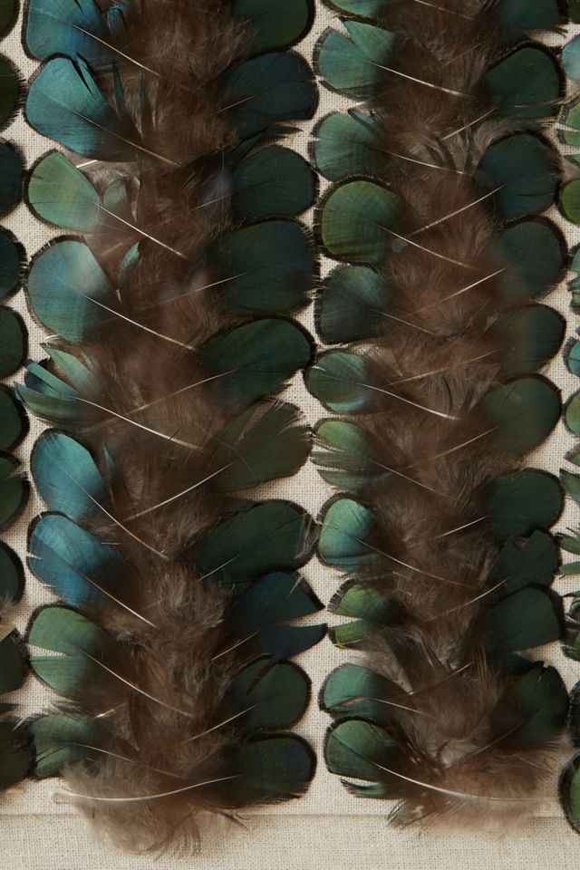 Vibrant Plumage Wall Art #1
