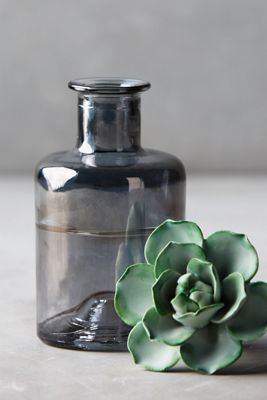 Succulent-Topped Bottle