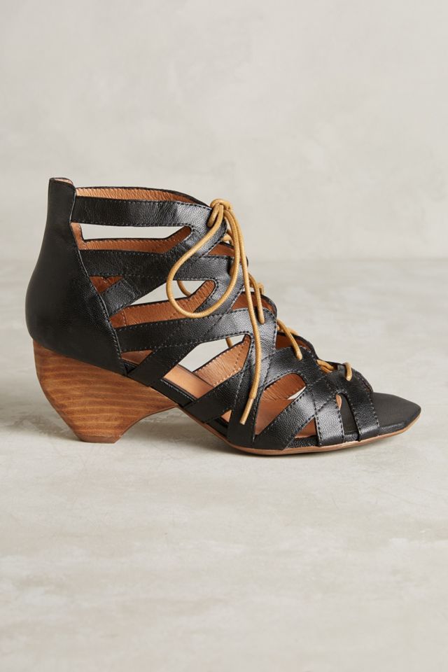Matiko Abiba Shooties #1