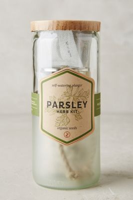 Modern Sprout Hydroponic Eco Planter Seed Kit