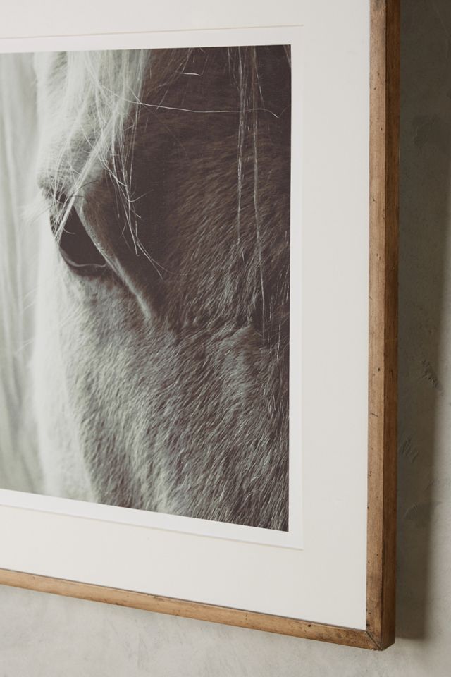 Quiet Horse Wall Art #1