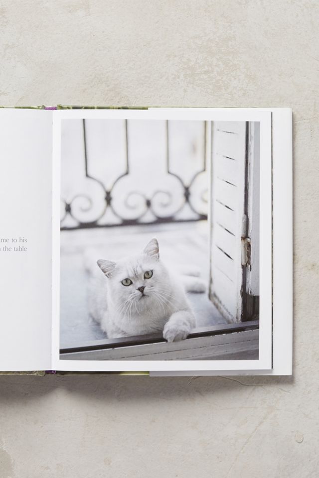 The French Cat #4