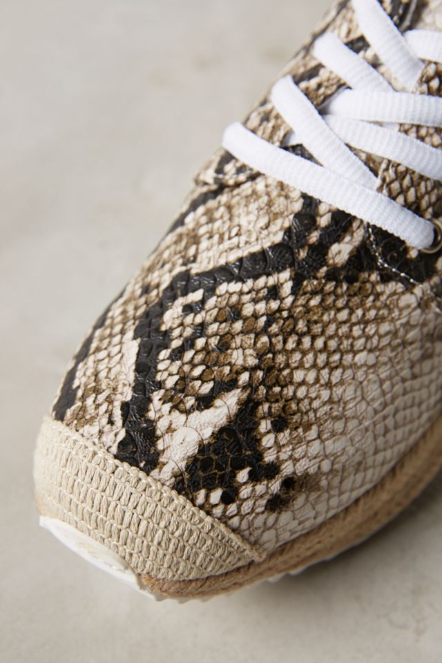 67 Collection Jurun Sneakers #3