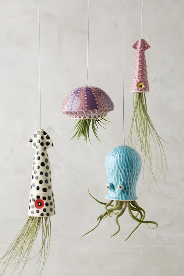 Sea Creature Hanging Planter #1