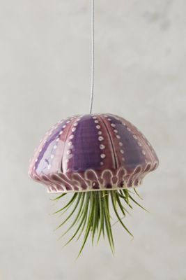 Sea Creature Hanging Planter