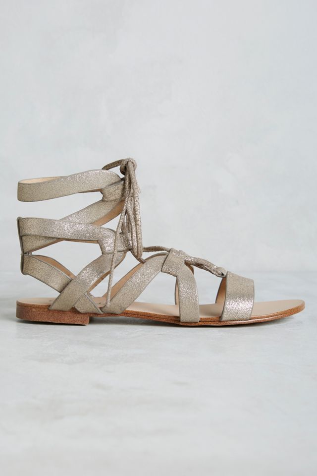 Splendid Cameron Gladiators #1