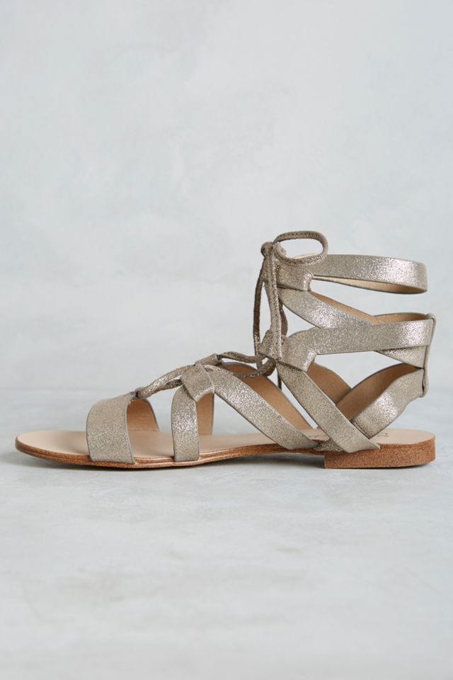 Splendid Cameron Gladiators #2