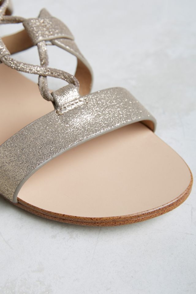 Splendid Cameron Gladiators #4