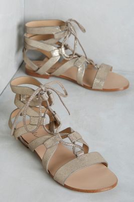 Splendid Cameron Gladiators