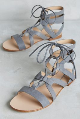 Splendid Cameron Gladiators