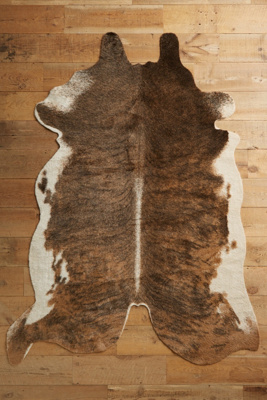 Anthropologie Rustic Living Rug