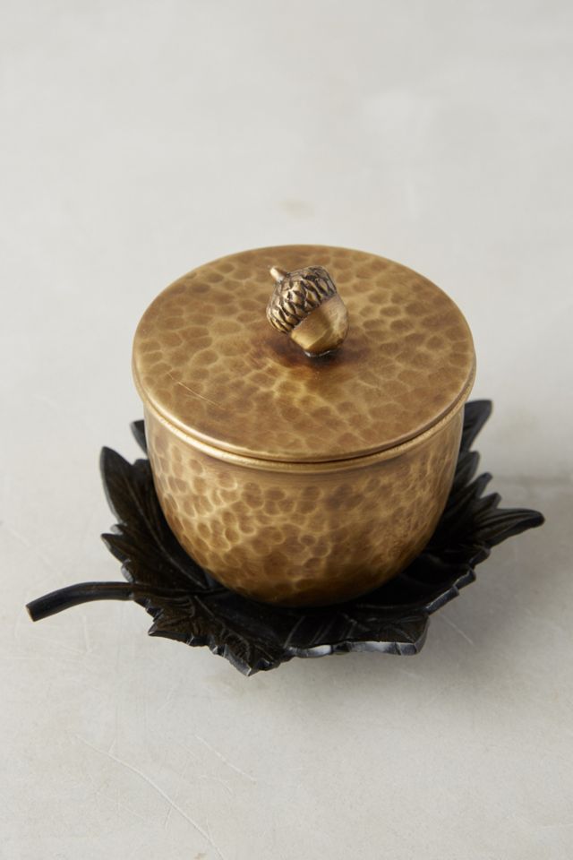 Capri Blue Autumn Acorn Candle #1