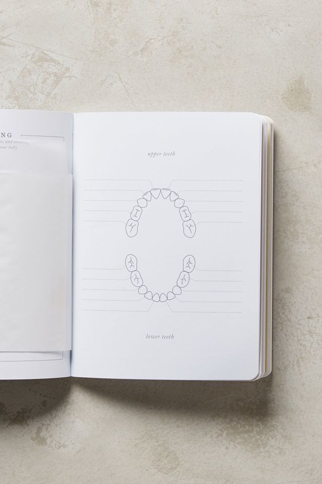 My First Year: A Baby Journal #3