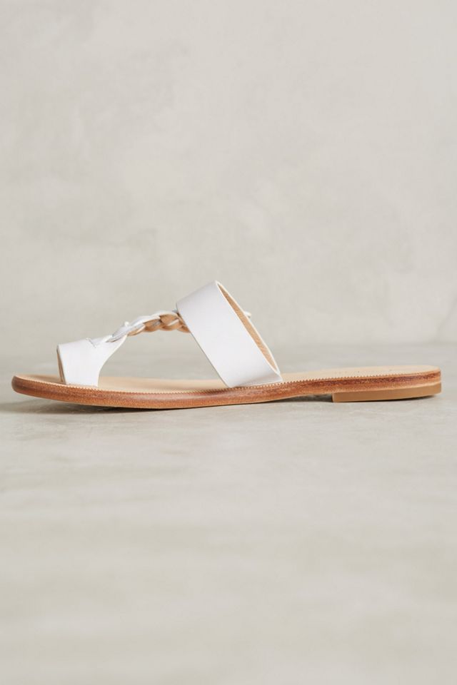 Matiko Jorie Slides #2