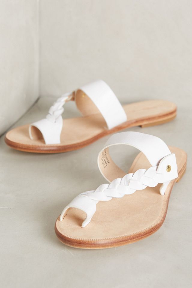 Matiko Jorie Slides
