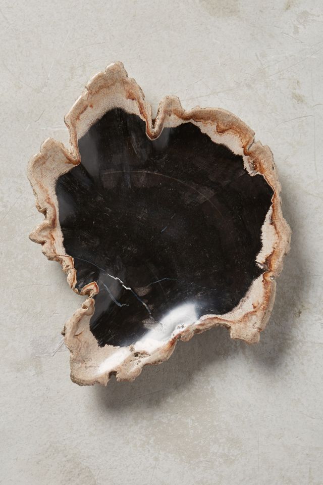 Petrified Wood Tray #1
